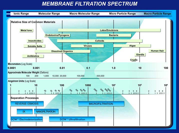 Membrane Size Chart